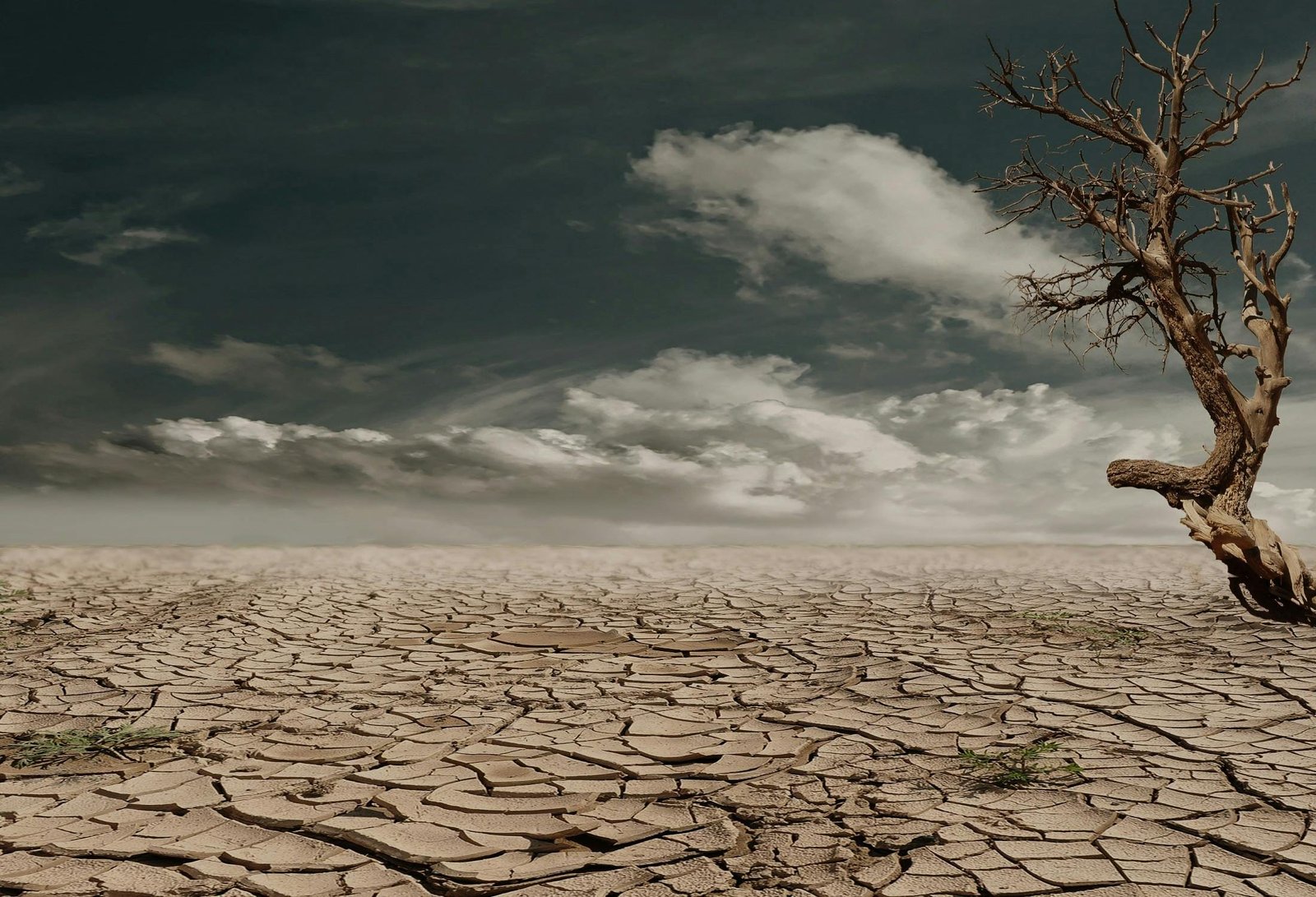 The Impact of Climate Change on Building Design in India The Impact of Climate Change on Building Design in India