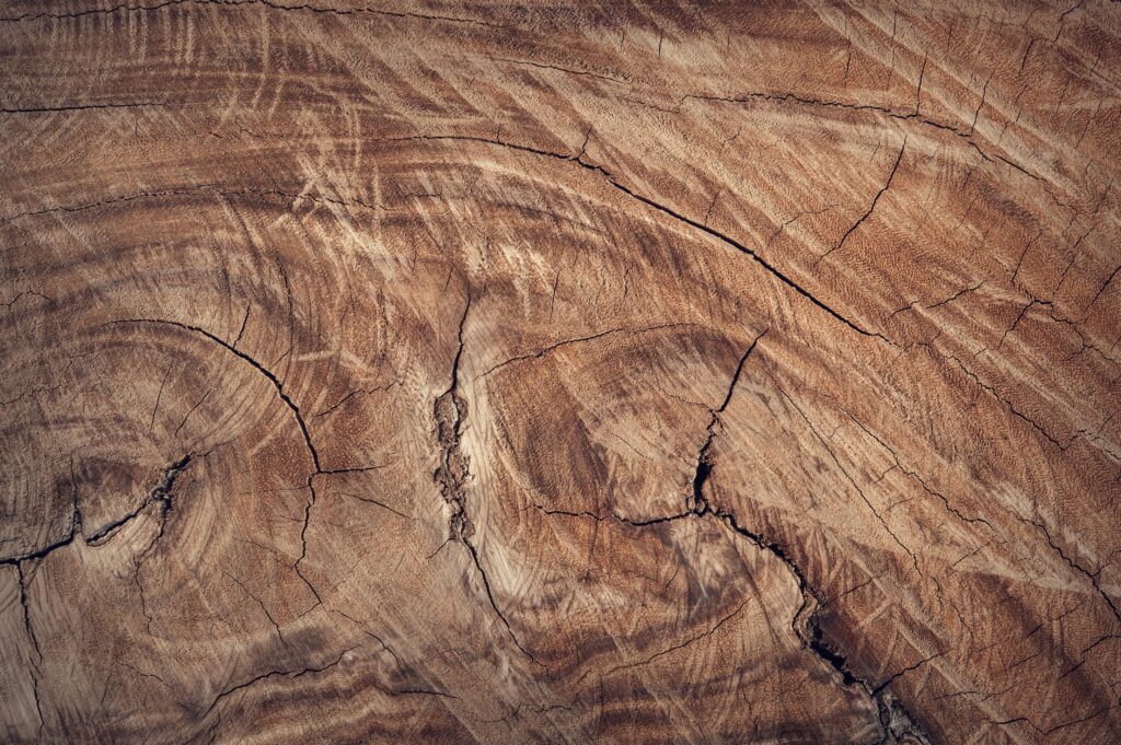 Why Mass Timber is a Game-Changer Why Mass Timber is a Game-Changer