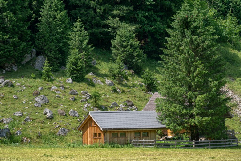 Eco-Friendly Living Eco-Friendly Living