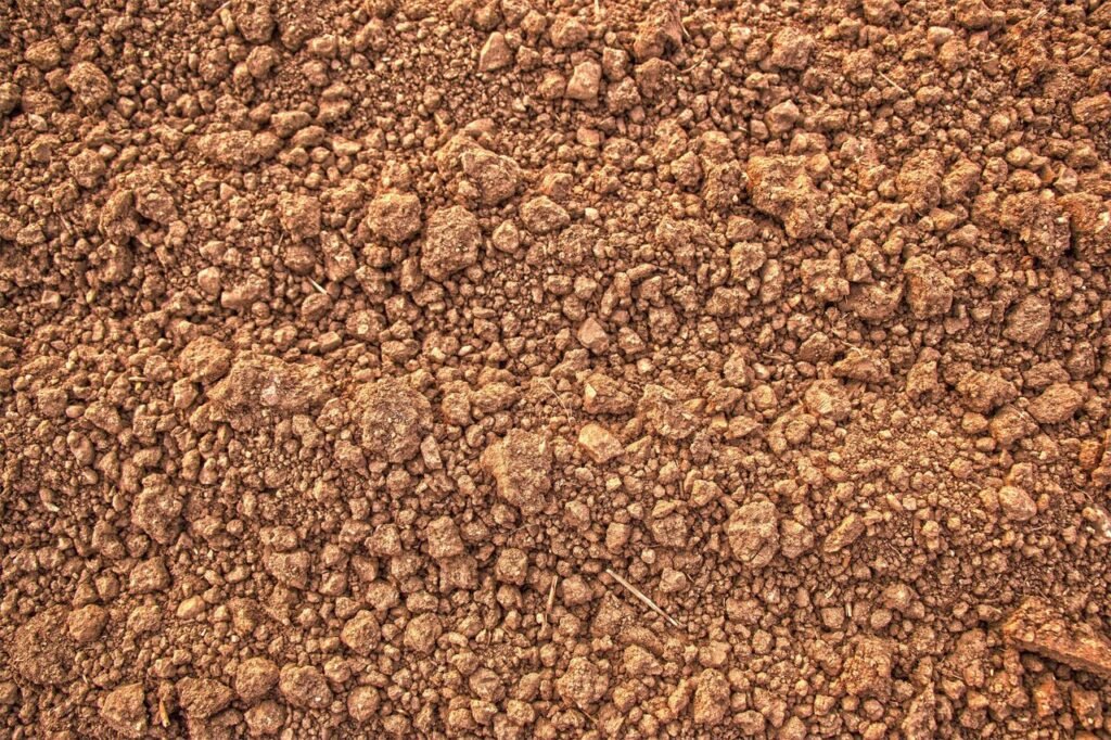 Unexpected Site Preparation and Soil Issues