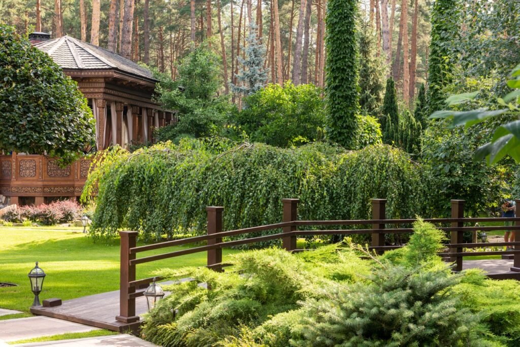 Landscaping and Outdoor Space Development