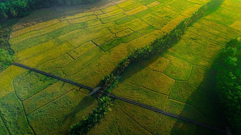 Before You Buy Land in Kerala, Look at These 9 Things First