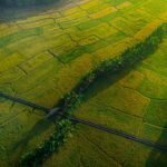 Before You Buy Land in Kerala, Look at These 9 Things First